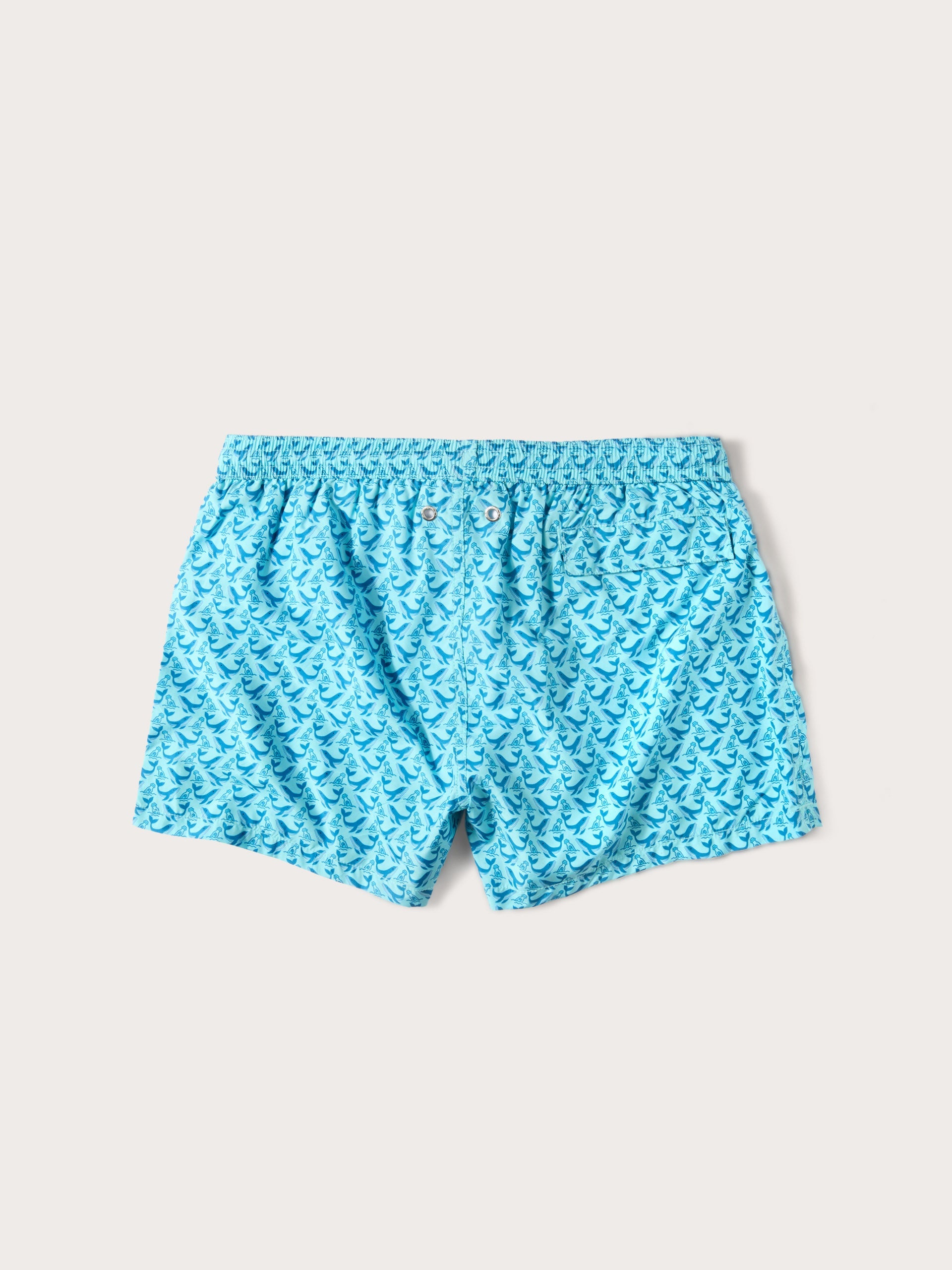 Costume boxer - Sea Club