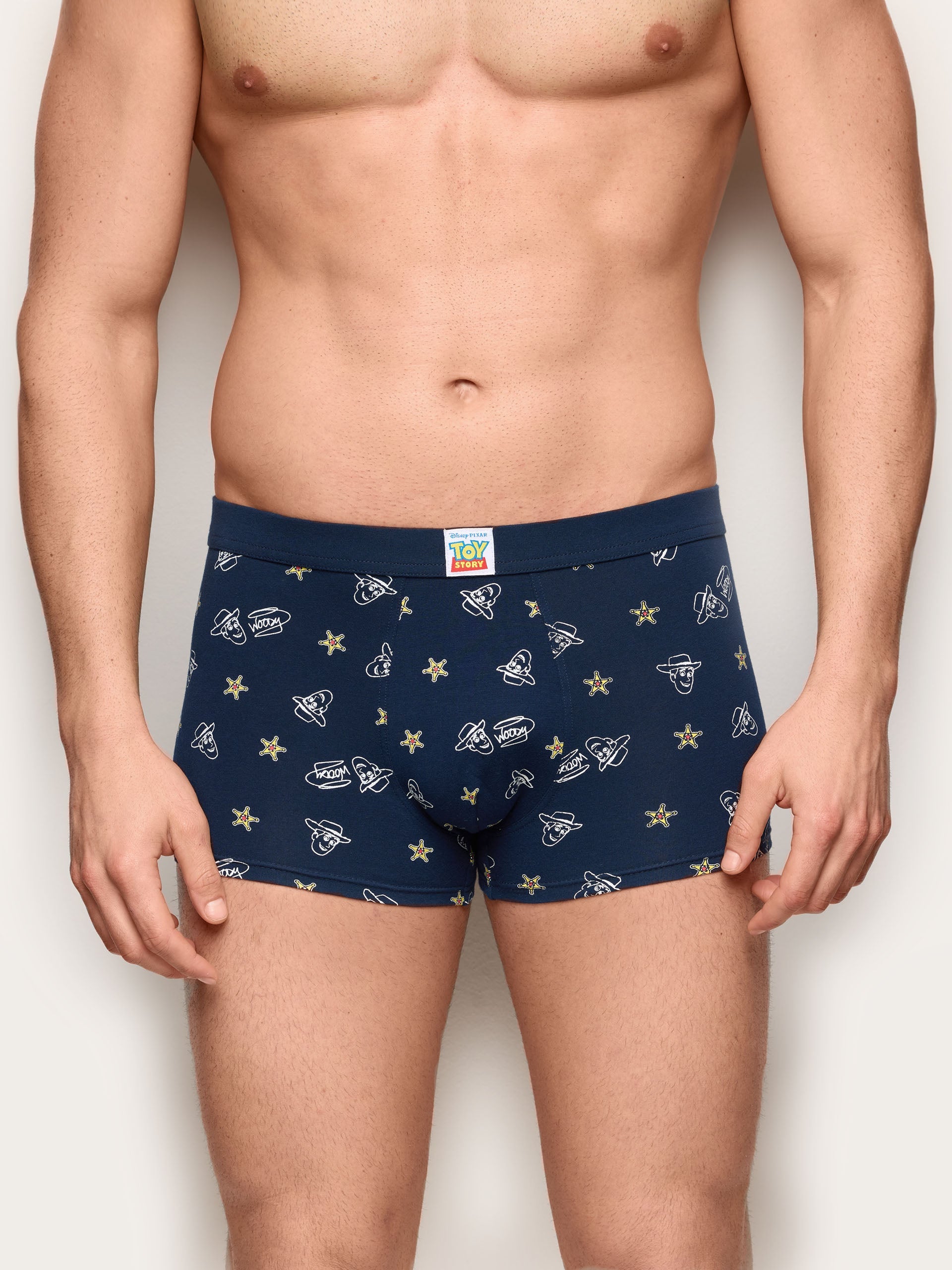 Boxer - Toy Story