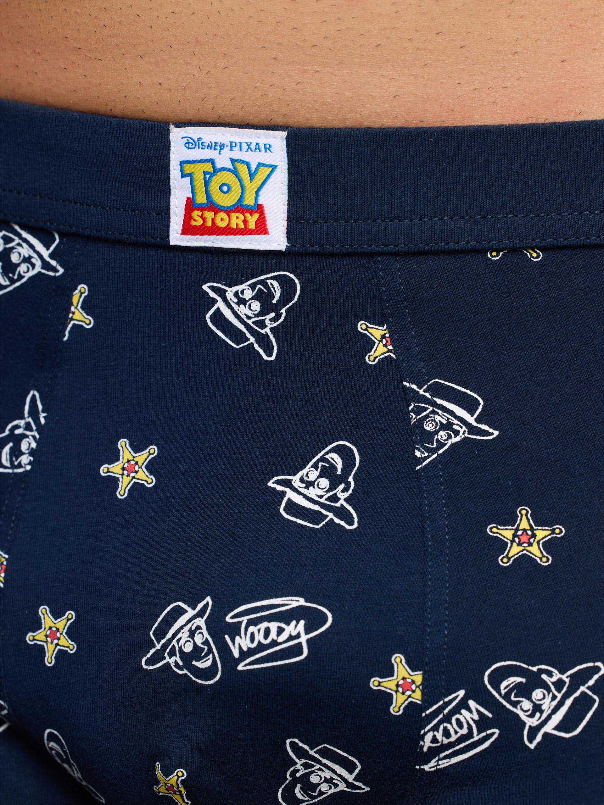 Boxer - Toy Story
